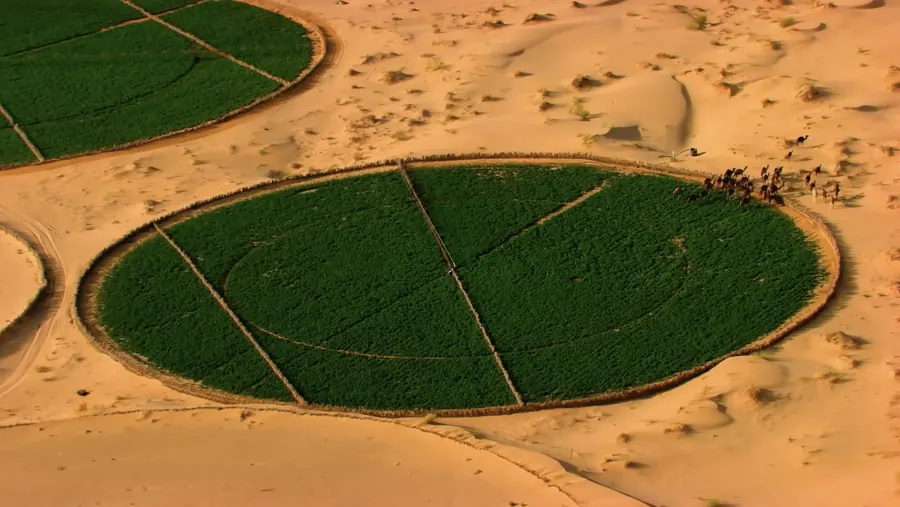 Agriculture
